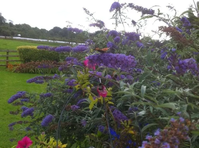 Отель River Edge *